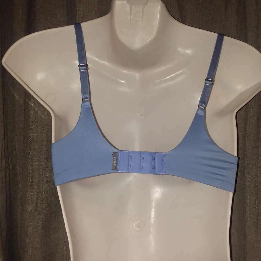 Sunnie Aerie Bra